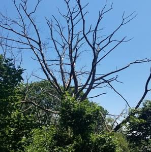 Meet your Posher, Martinez